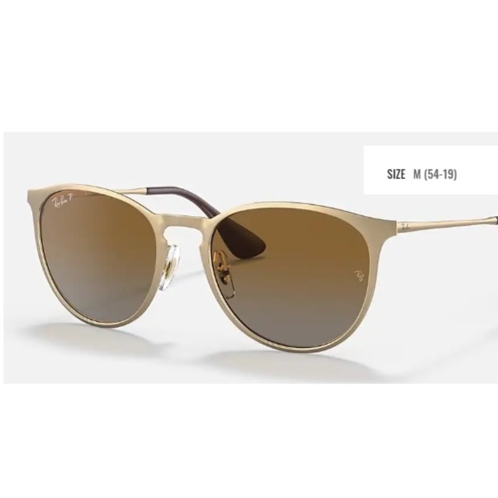 RayBan Erika RB3539